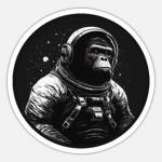 Portrait de Space_monkey